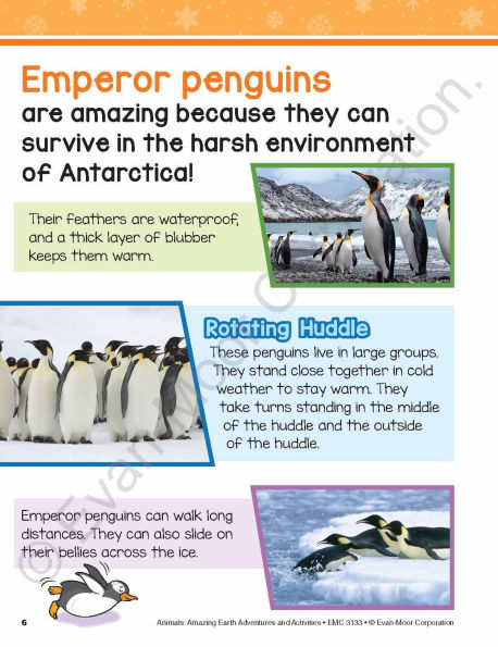 Animals: Amazing Earth Adventures and Activities, Ages 8-9 Workbook