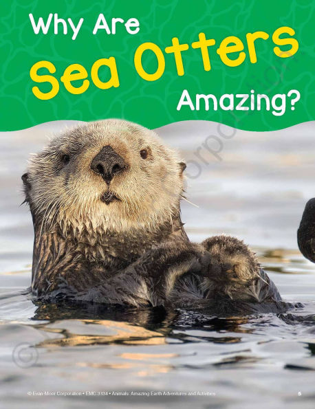 Animals: Amazing Earth Adventures and Activities, Age 10 - 11 Workbook