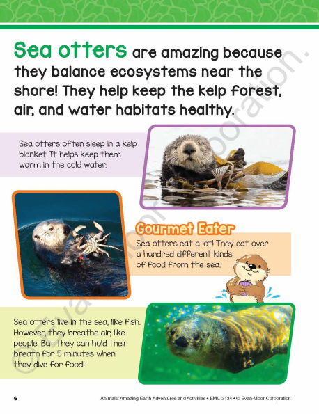 Animals: Amazing Earth Adventures and Activities, Age 10 - 11 Workbook