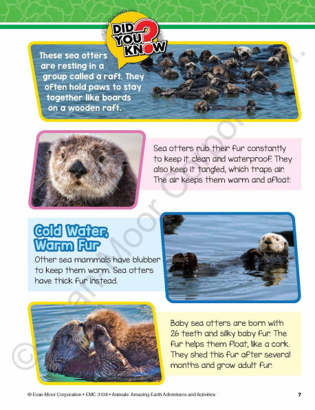 Animals: Amazing Earth Adventures and Activities, Age 10 - 11 Workbook