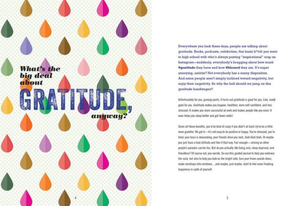 Grrr-atitude: A Guided Journal for the Reluctantly Positive