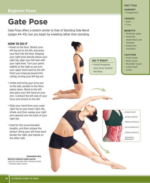 Spice Up Your Yoga Warm-Up: Loosen Up Joints & Muscles Before Your Main  Workout - Instructional Manual