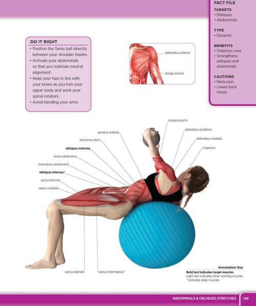 Ultimate Guide to Stretching