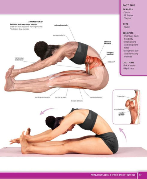 Ultimate Guide to Stretching