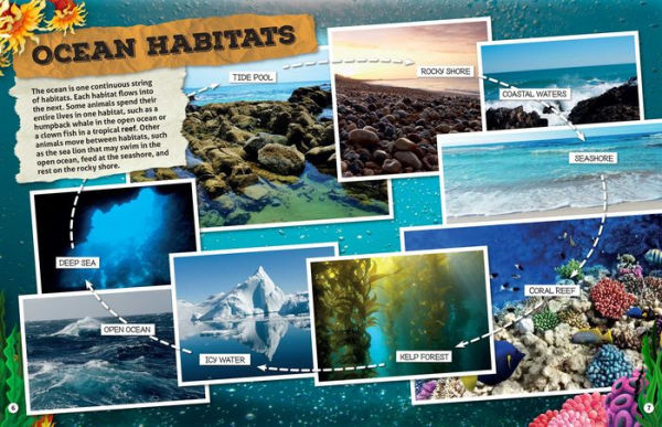 Discovery Learning Adventures: Ocean