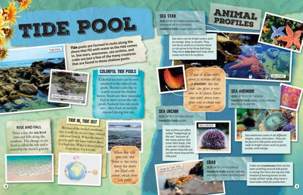 Discovery Learning Adventures: Ocean