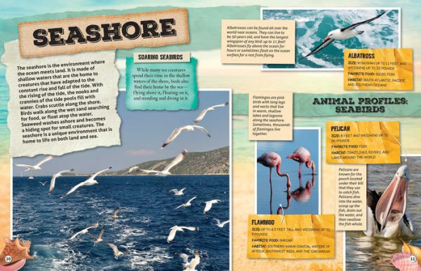 Discovery Learning Adventures: Ocean