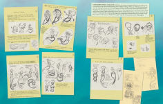 Alternative view 3 of Disney: The Little Mermaid