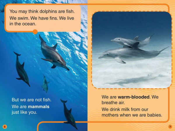 Discovery All-Star Readers: I Am a Dolphin Level 1