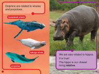 Alternative view 4 of Discovery All-Star Readers: I Am a Dolphin Level 1