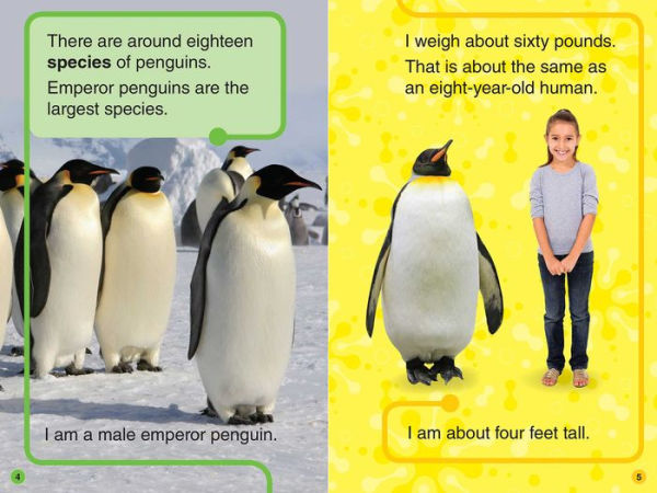 Discovery All-Star Readers: I Am a Penguin Level 1 (Library Binding)