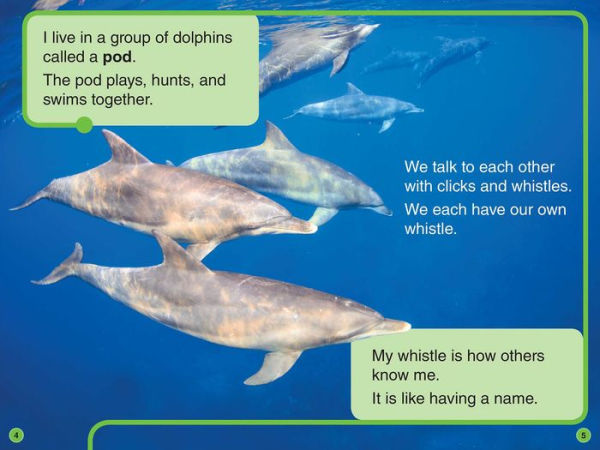 Discovery All-Star Readers: I Am a Dolphin Level 1