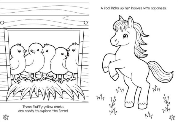 Baby Farm Animals Coloring and Activity Book