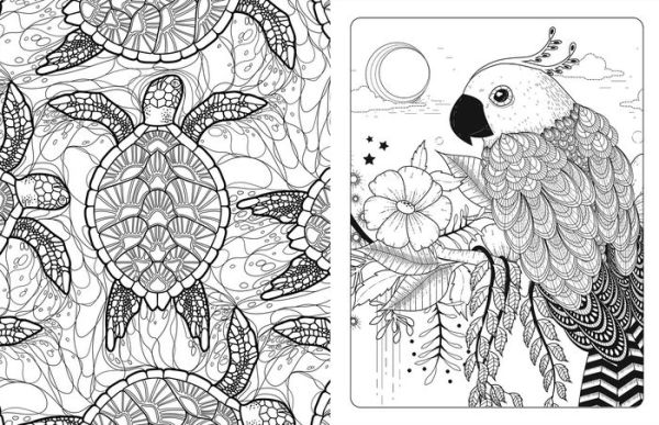 Animal Planet: Wild About Animals Coloring Book