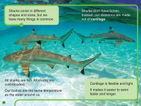 Alternative view 2 of Discovery Kids All-Star Readers: I Am an Incredible Animal Level 2