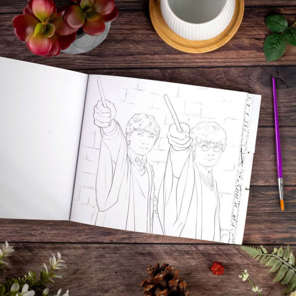 Harry Potter Paint with Water