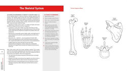 Alternative view 5 of Color Yourself Smart: Human Anatomy