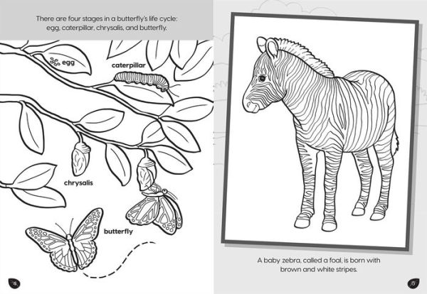 Animal Planet: Wild Baby Animals Coloring Book