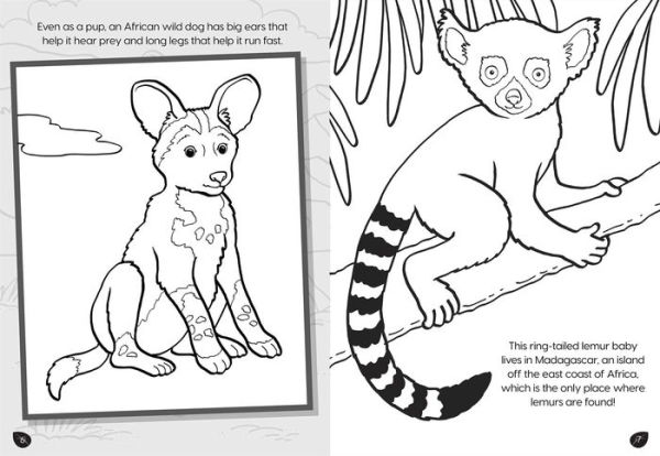 Animal Planet: Wild Baby Animals Coloring Book