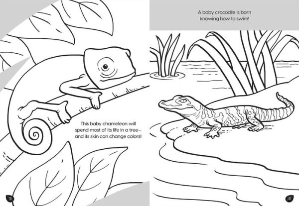 Animal Planet: Wild Baby Animals Coloring Book