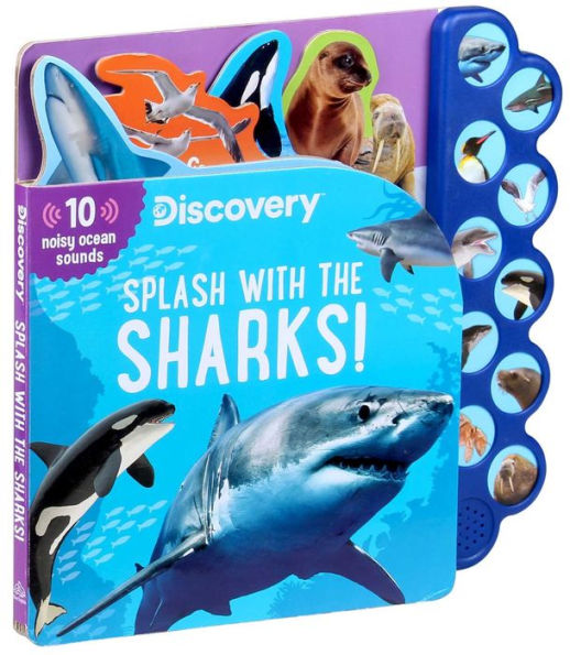 Discovery: Splash with the Sharks!