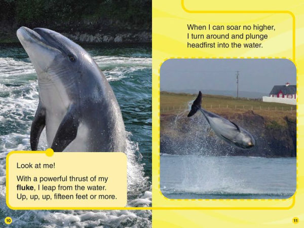 Animal Planet All-Star Readers: I Am Fungie the Dolphin Level 2 (Library Binding)