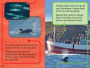 Alternative view 5 of Animal Planet All-Star Readers: I Am Fungie the Dolphin Level 2 (Library Binding)