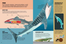 Alternative view 2 of Build & Discover Animals