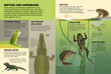 Alternative view 3 of Build & Discover Animals