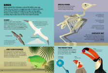 Alternative view 4 of Build & Discover Animals