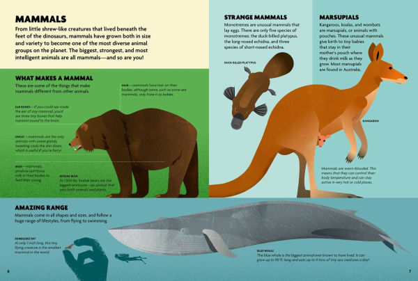 Build & Discover Animals