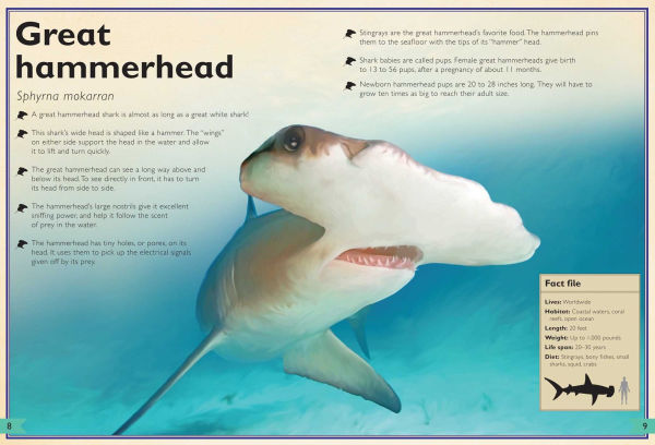 The Magnificent Book of Sharks