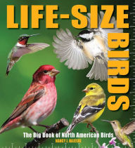 Title: Life-Size Birds: The Big Book of North American Birds, Author: Nancy J. Hajeski