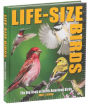 Alternative view 5 of Life-Size Birds: The Big Book of North American Birds