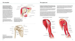Alternative view 4 of Anatomy Explorer