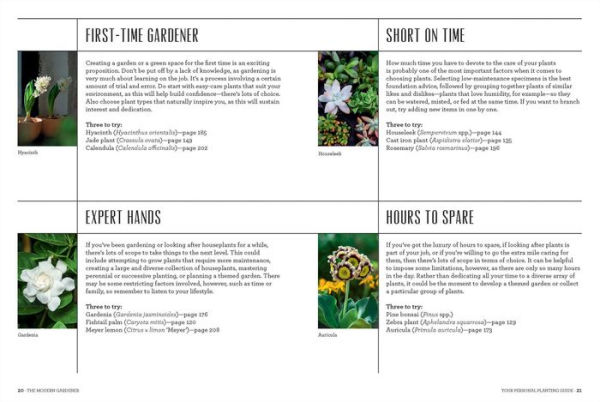 The Modern Gardener: A Practical Guide to Houseplants, Herbs & Container Gardening