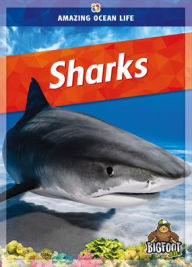 Title: Sharks, Author: Colleen Sexton