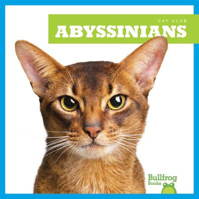 Abyssinians