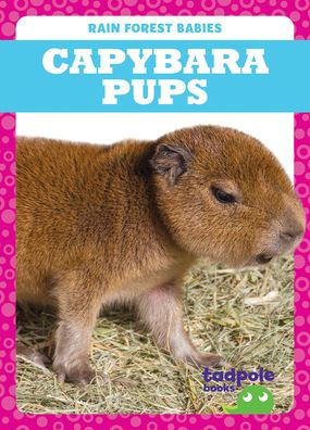 Capybara Pups