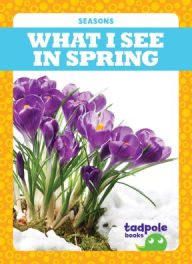 Title: What I See in Spring, Author: Danielle J Jacks