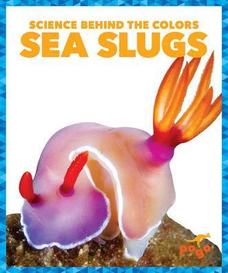 Sea Slugs