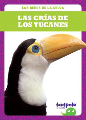 Las Crï¿½as de Los Tucanes (Toucan Chicks)