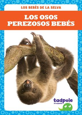Los Osos Perezosos Bebï¿½s (Sloth Babies)