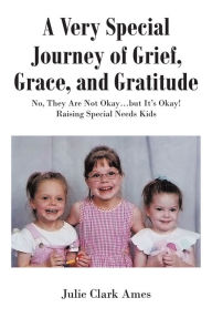 Title: A Very Special Journey of Grief, Grace, and Gratitude: No, They Are Not Okay?but It?s Okay! Raising Special Needs Kids, Author: Julie Clark Ames