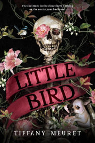 Title: Little Bird, Author: Tiffany Meuret