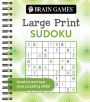 Brain Games Large Print Sudoku Swirls