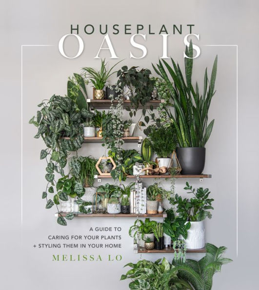 Houseplant Oasis: A Guide to Caring for Your Plants + Styling Them Home
