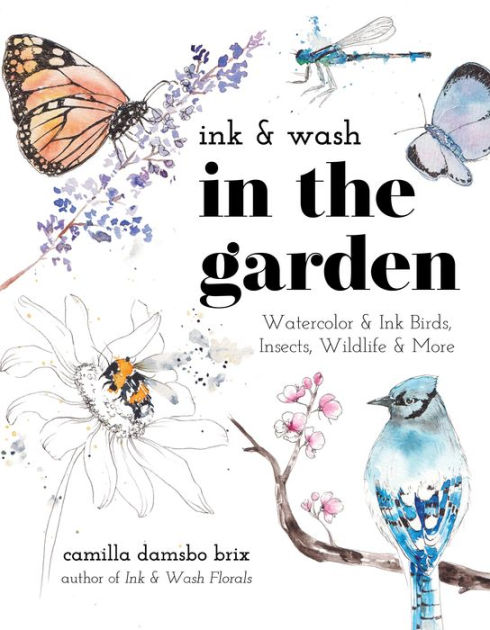 Ink and Wash in the Garden: Watercolor and Ink Birds, Insects, Wildlife ...