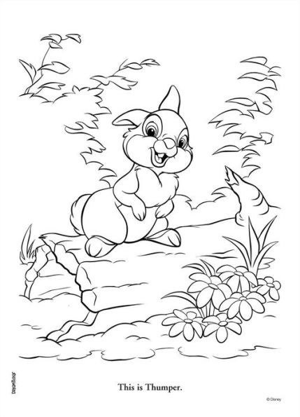 Disney Bunnies: Sweet Times: Colortivity with Scented Twistable Crayons