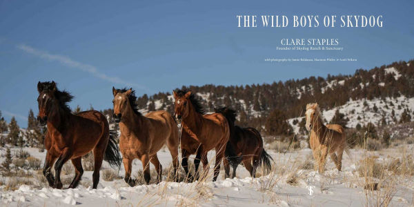 The Wild Boys of Skydog